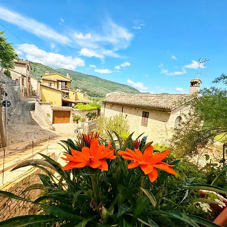 Casa Domenico Spello